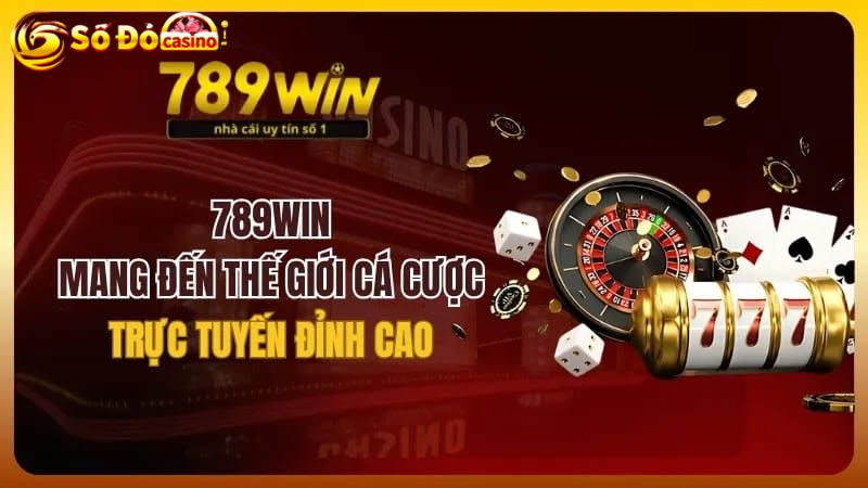 Quá trình hoạt động của 789win 