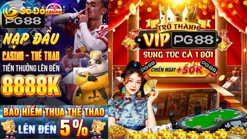 PG88 không dàn xếp kết quả